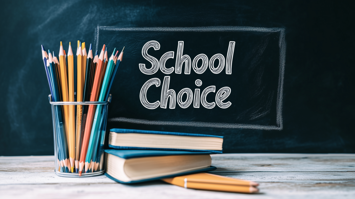 school choice and educational architecture