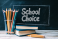 school choice and educational architecture