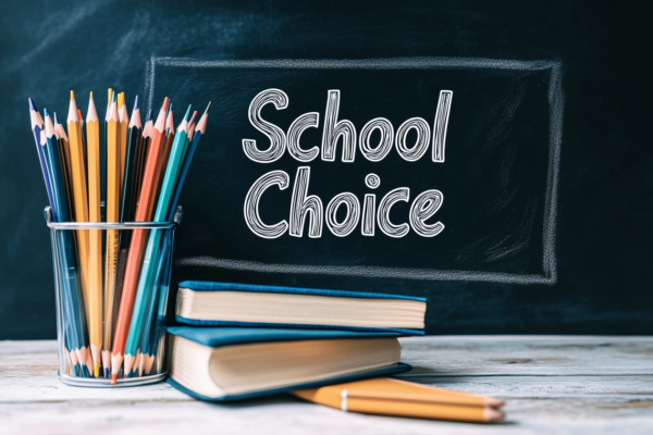 school choice and educational architecture